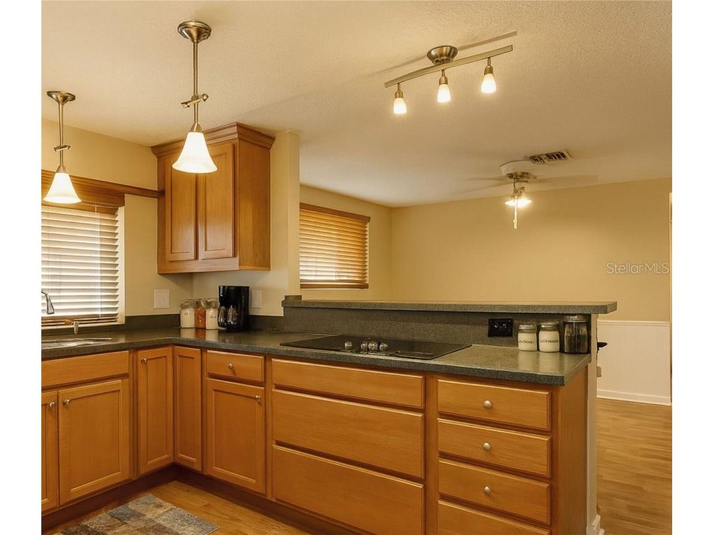 8313 Cavalry Drive Hudson FL 34667 TB8381912 image3