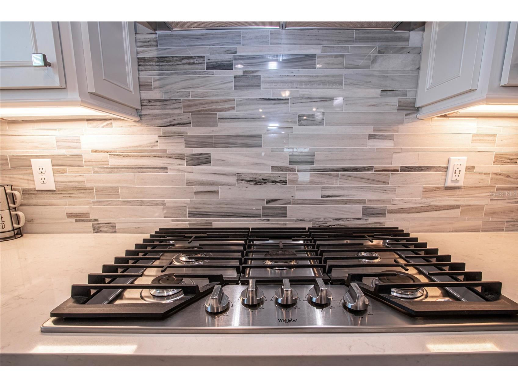 8313 Ocean Tides Cove Parrish FL 34219 A4686089 image28