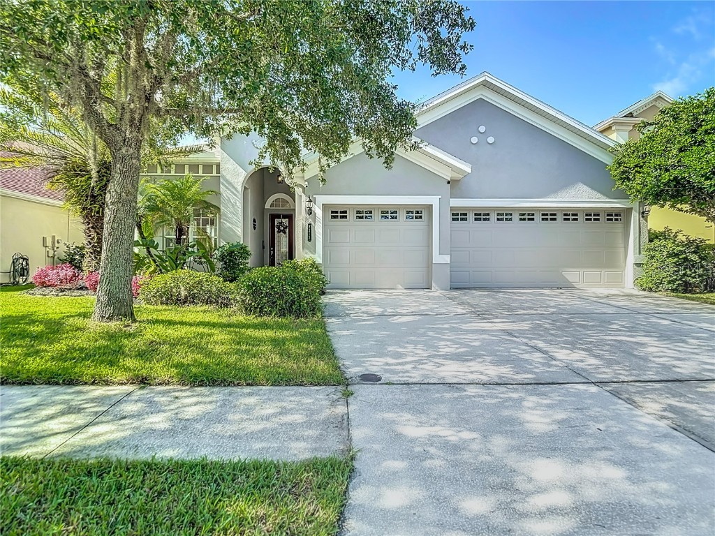 8313 Old Town Drive Tampa FL 33647 TB8406146 image1