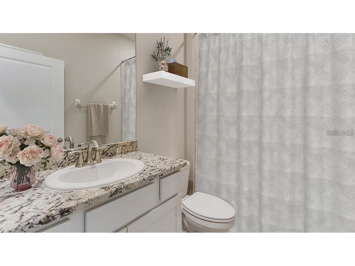 8313 Wheat Stone Drive Zephyrhills FL 33540 TB8484362 image16