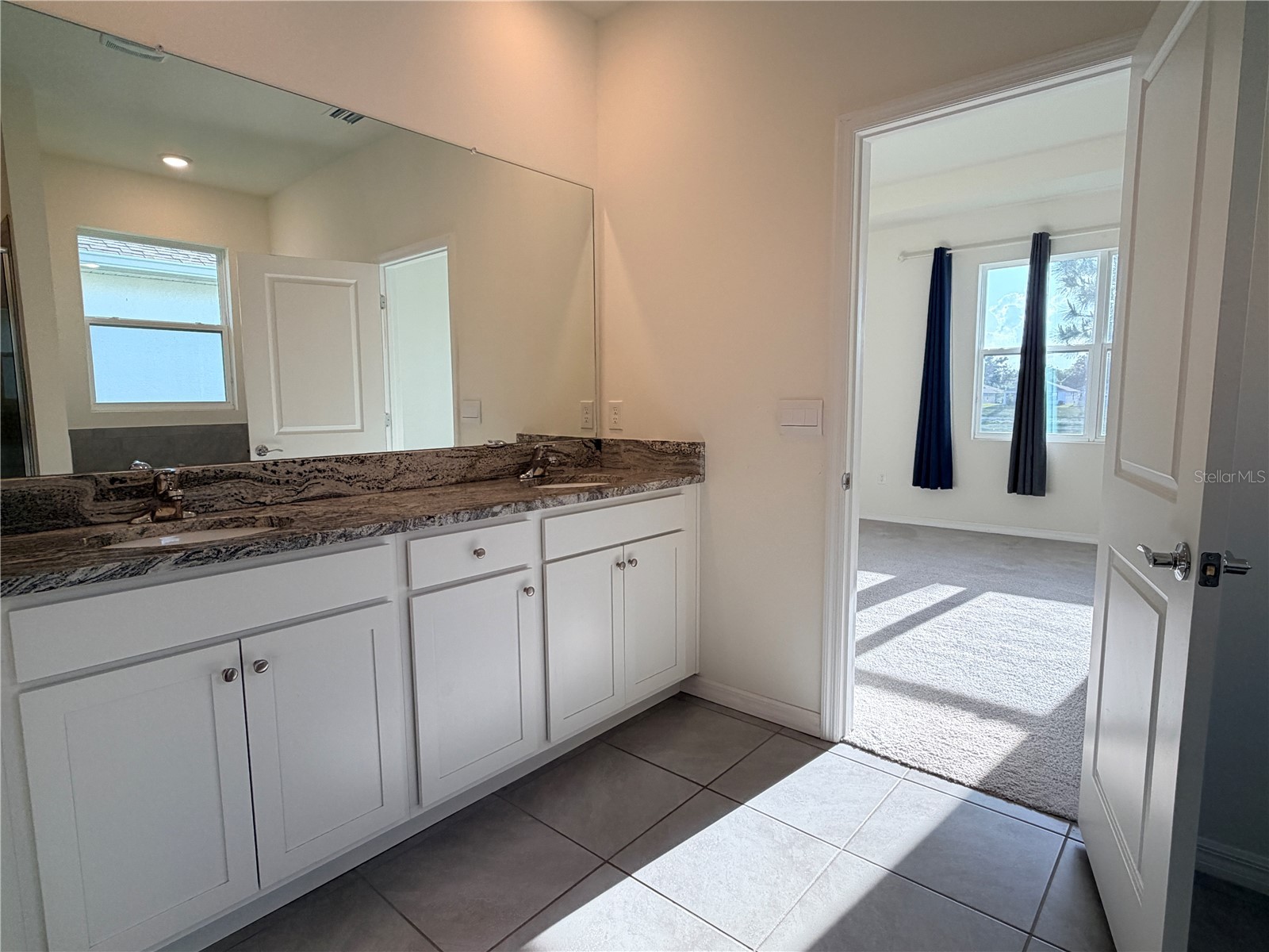 8313 Wheat Stone Drive Zephyrhills FL 33540 TB8484362 image28