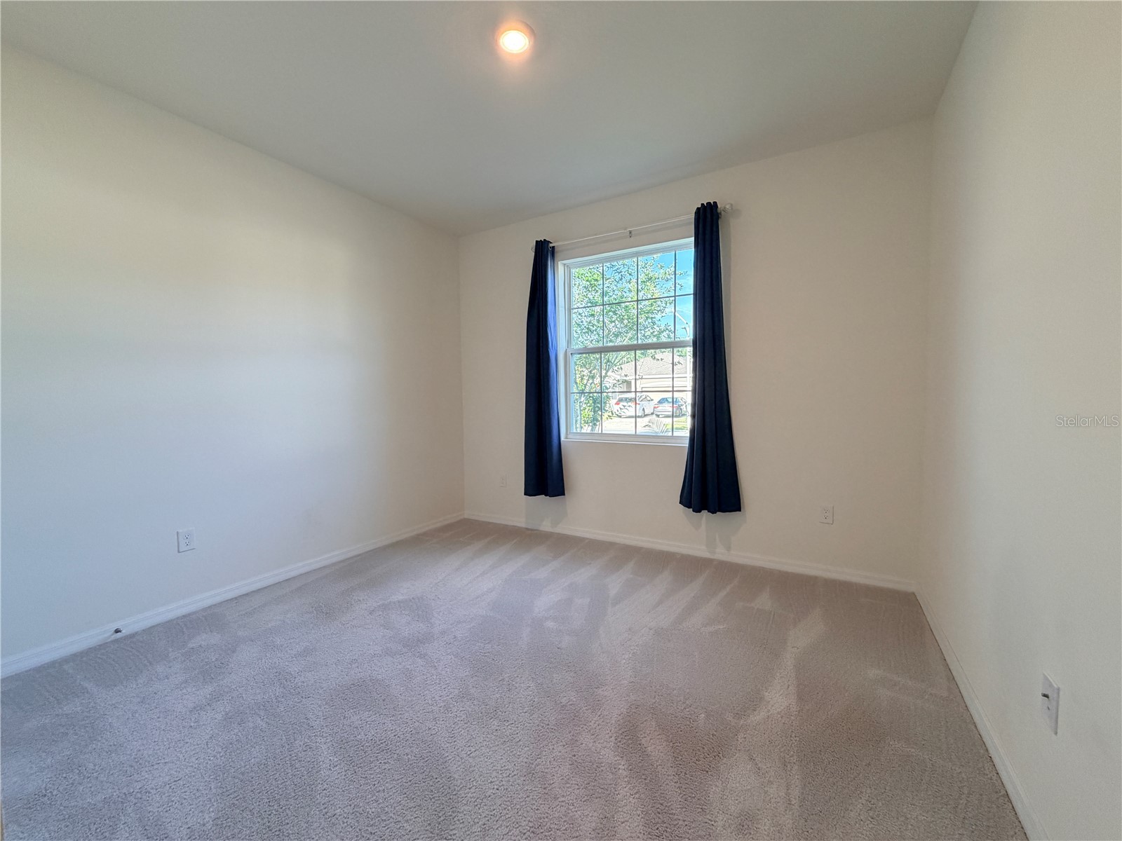 8313 Wheat Stone Drive Zephyrhills FL 33540 TB8484362 image31