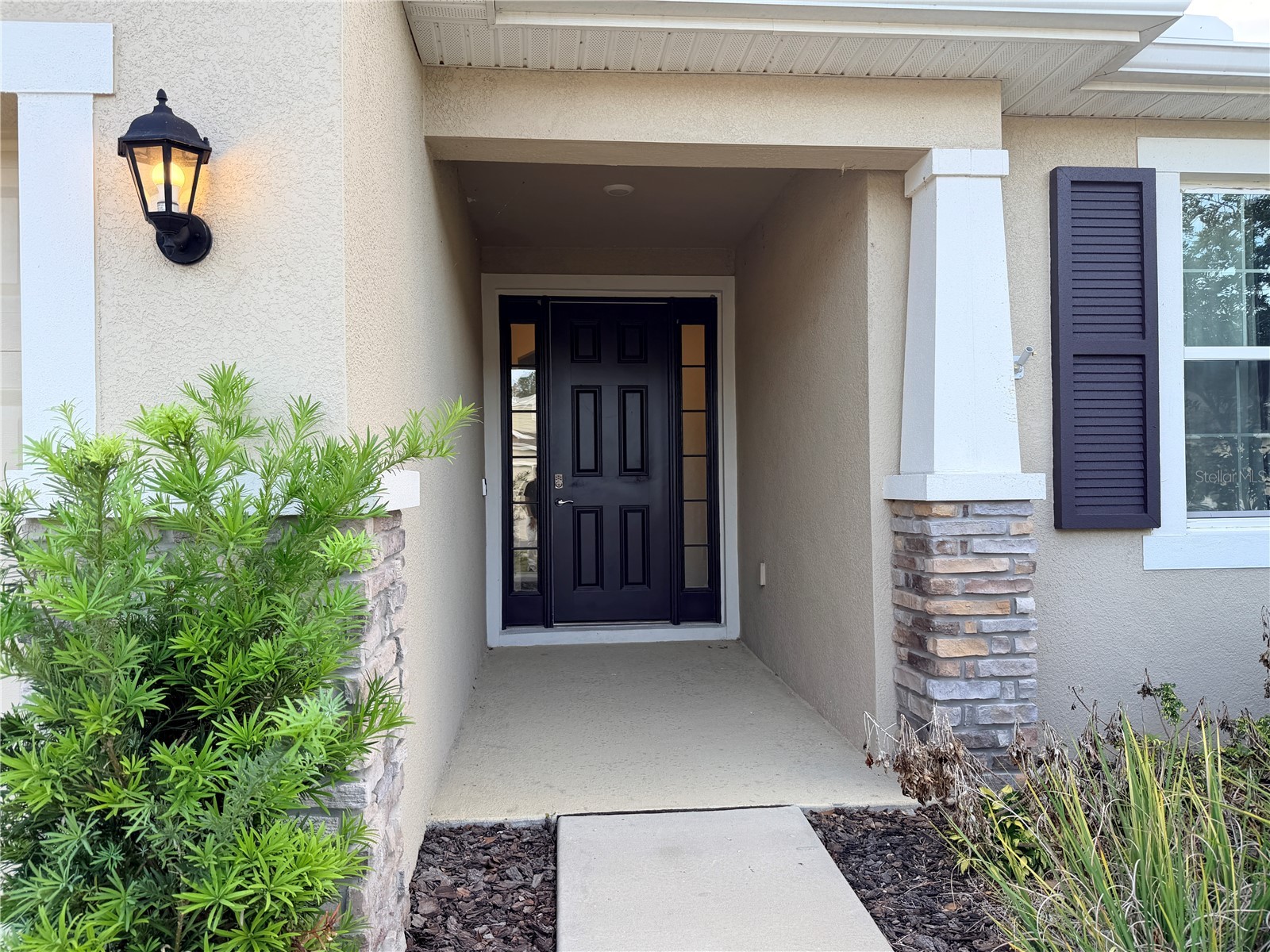 8313 Wheat Stone Drive Zephyrhills FL 33540 TB8484362 image4