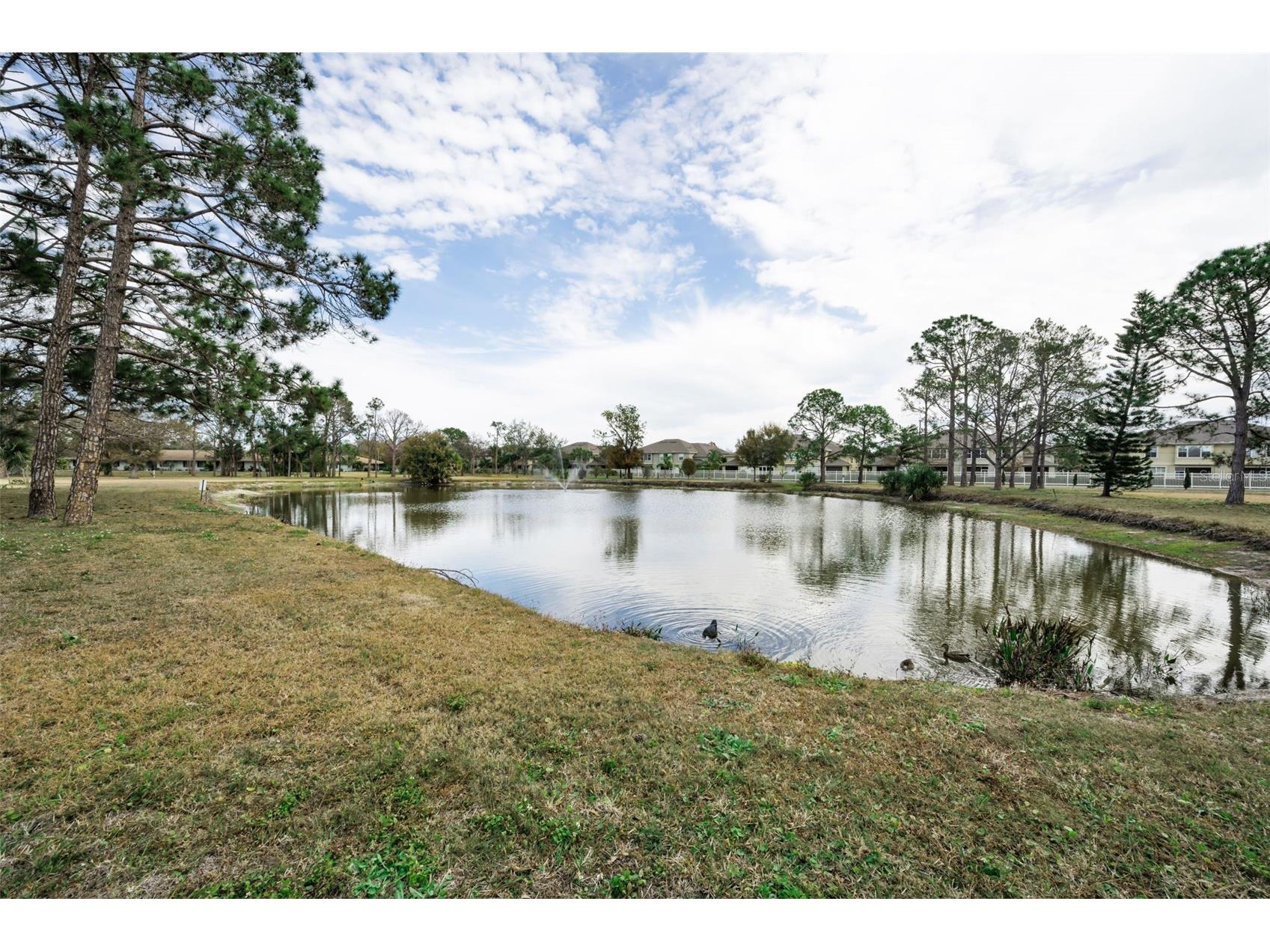 8315 Burgundy Drive N #8315 Pinellas Park FL 33781 TB8475413 image7