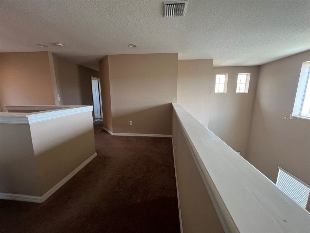 8315 Deerland Bluff Lane Riverview FL 33578 TB8447604 image18