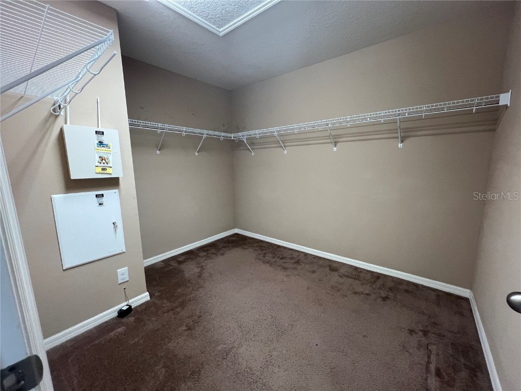 8315 Deerland Bluff Lane Riverview FL 33578 TB8447604 image23