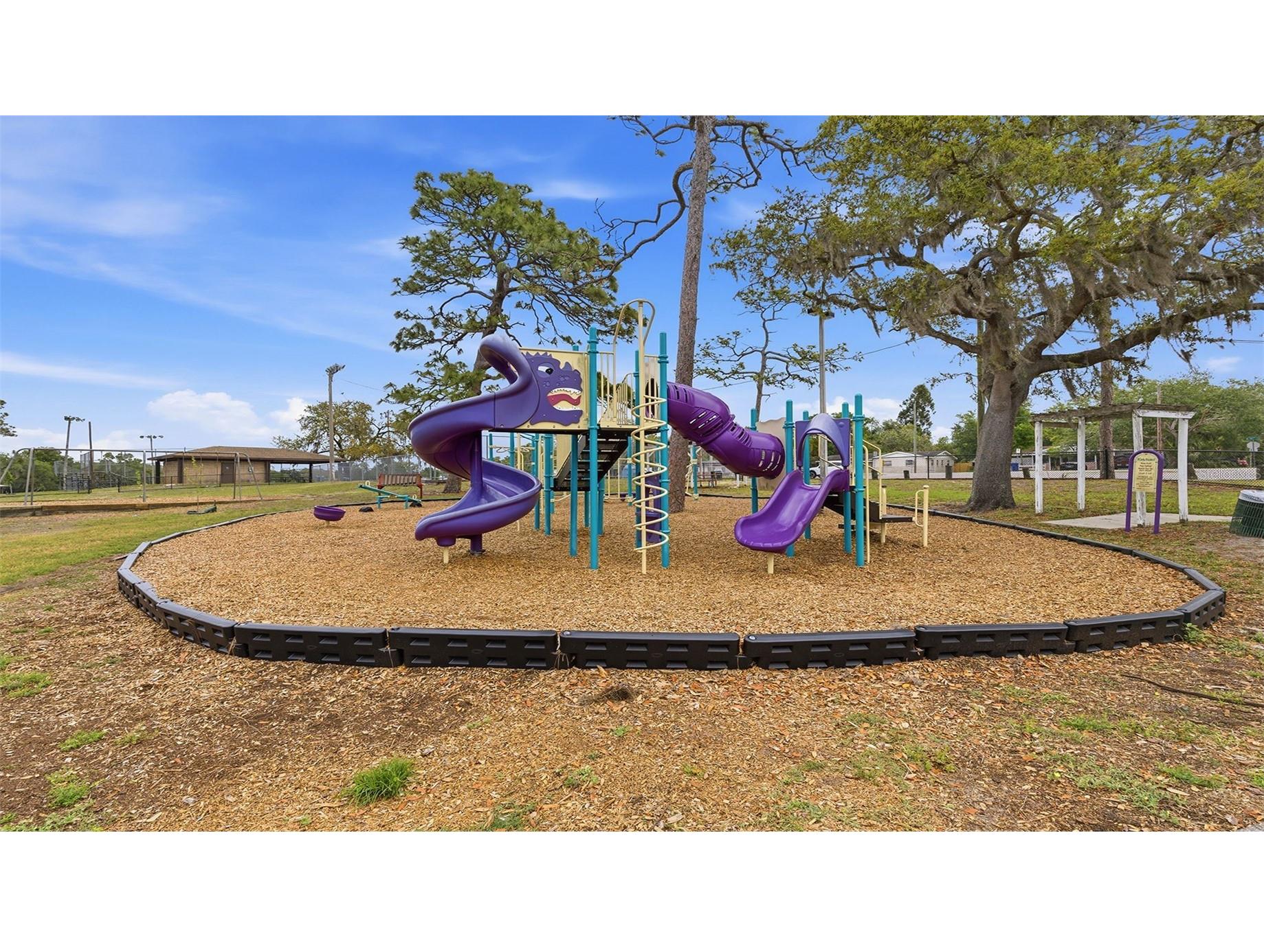 8315 N 37th Street Tampa FL 33604 TB8497453 image24