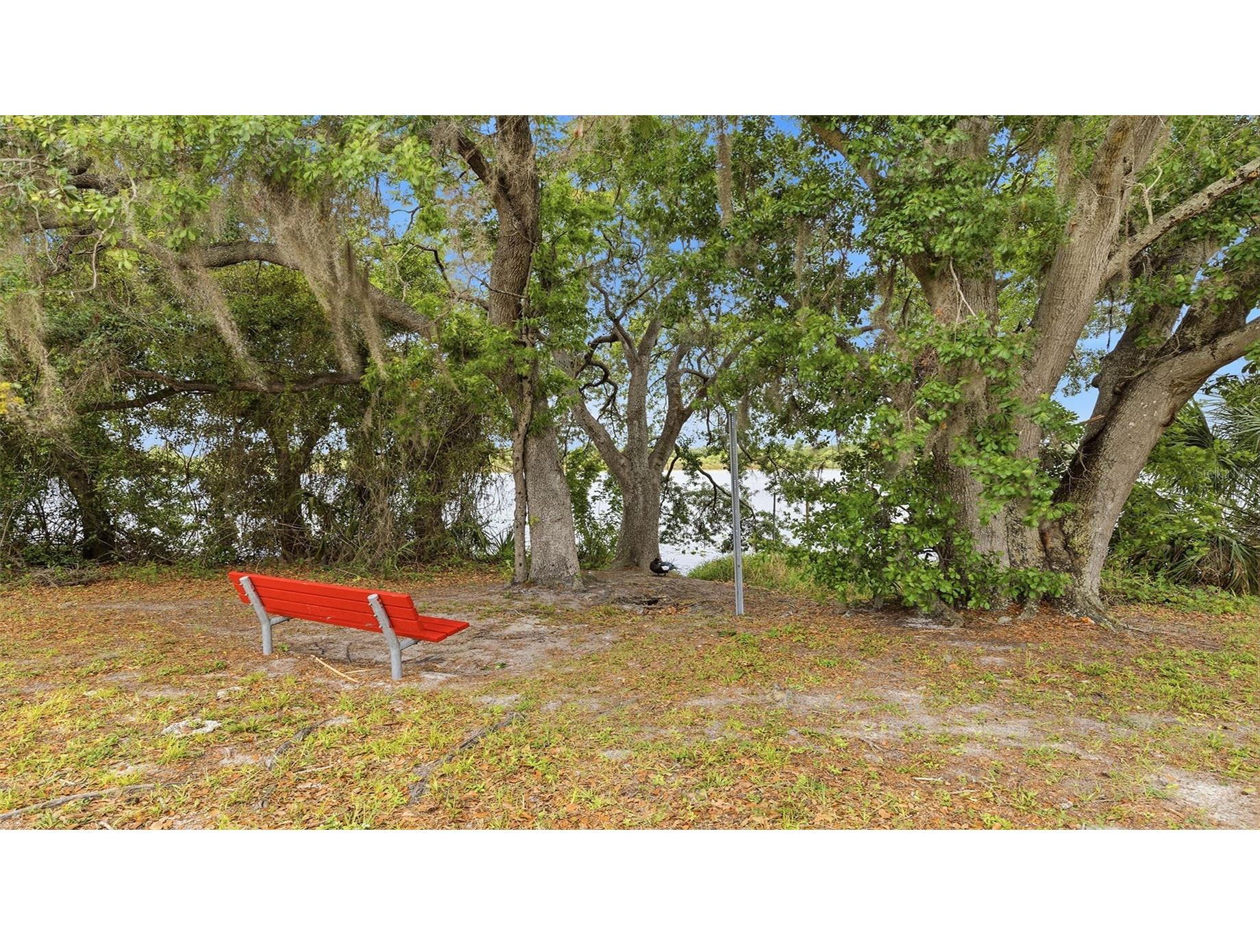 8315 N 37th Street Tampa FL 33604 TB8497453 image29