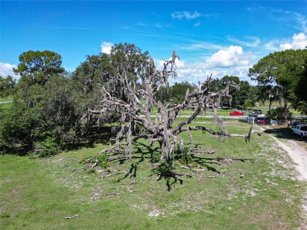 8315 Tom Costine Road Lakeland FL 33809 L4946964 image7