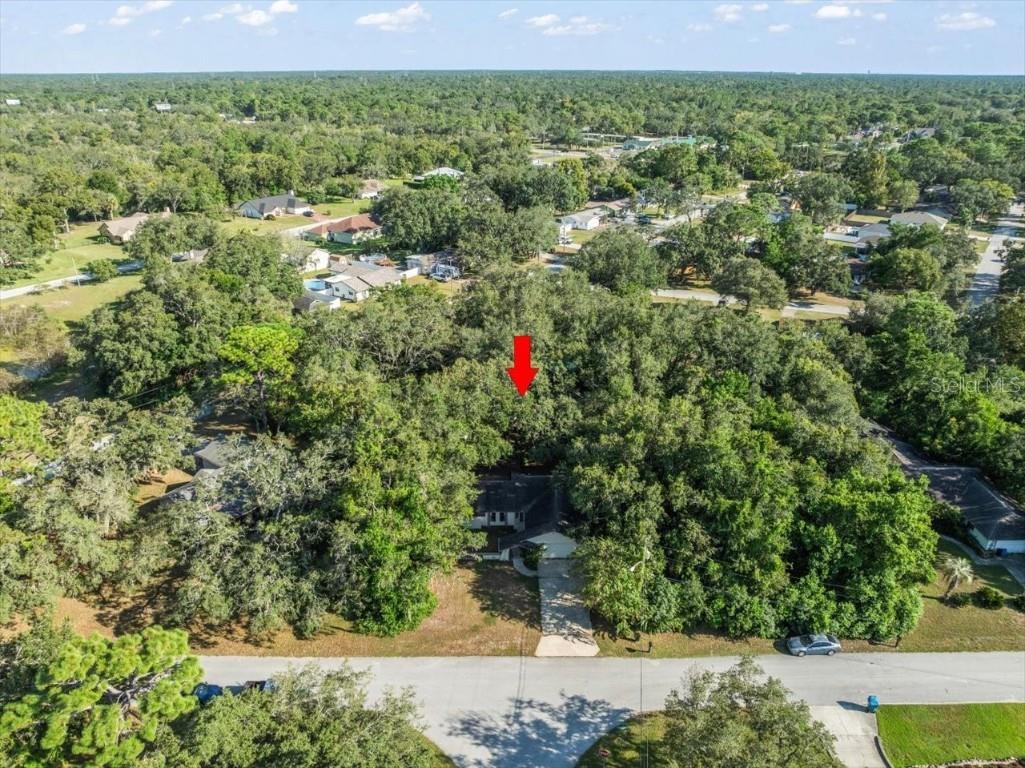 8316 Kingsdale Street Spring Hill FL 34608 TB8425222 image27