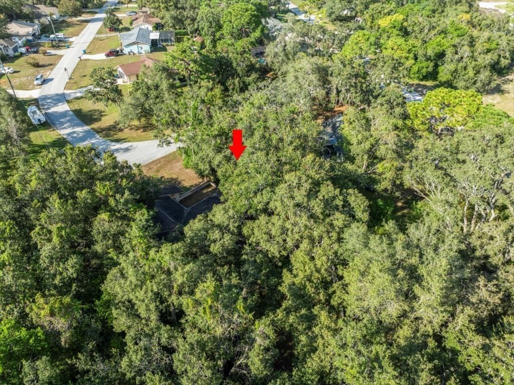 8316 Kingsdale Street Spring Hill FL 34608 TB8425222 image28