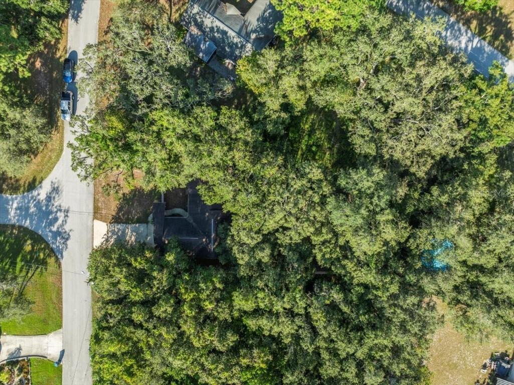 8316 Kingsdale Street Spring Hill FL 34608 TB8425222 image29