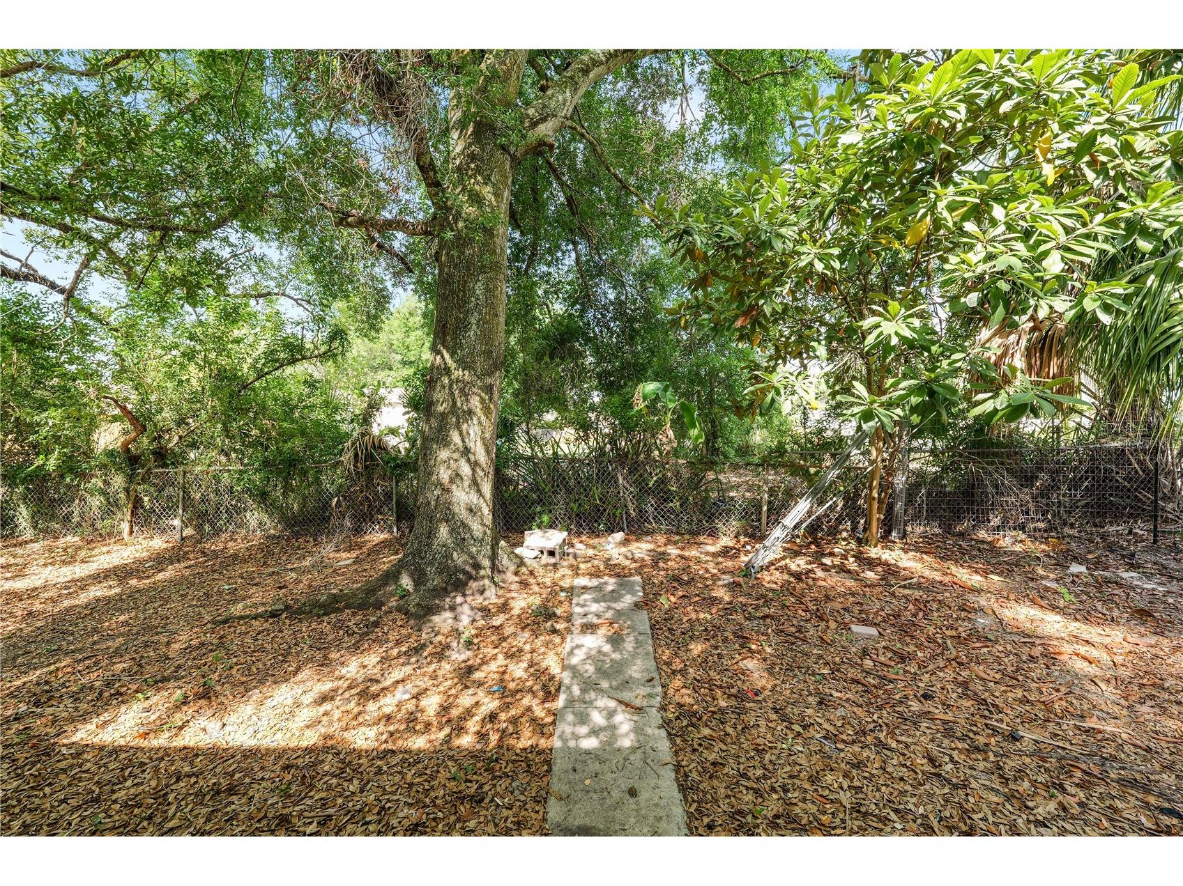 8316 N 12th Street Tampa FL 33604 L4960978 image29