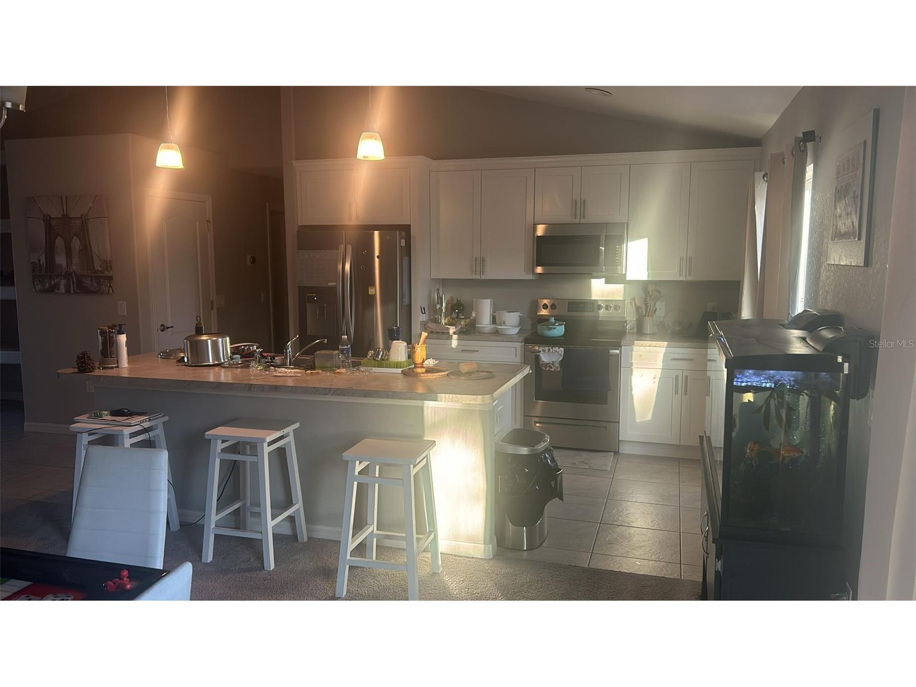 8316 Nevada Street Spring Hill FL 34606 TB8508691 image3