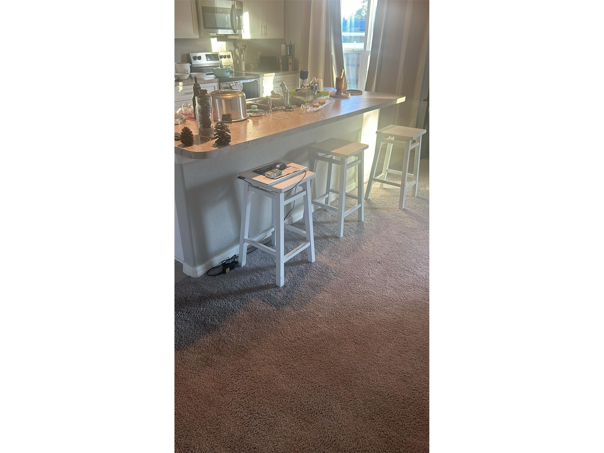 8316 Nevada Street Spring Hill FL 34606 TB8508691 image8