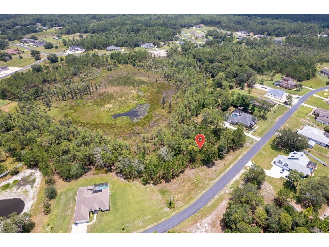 8316 Spring Forest Lane Wesley Chapel FL 33544 T3451960 image1