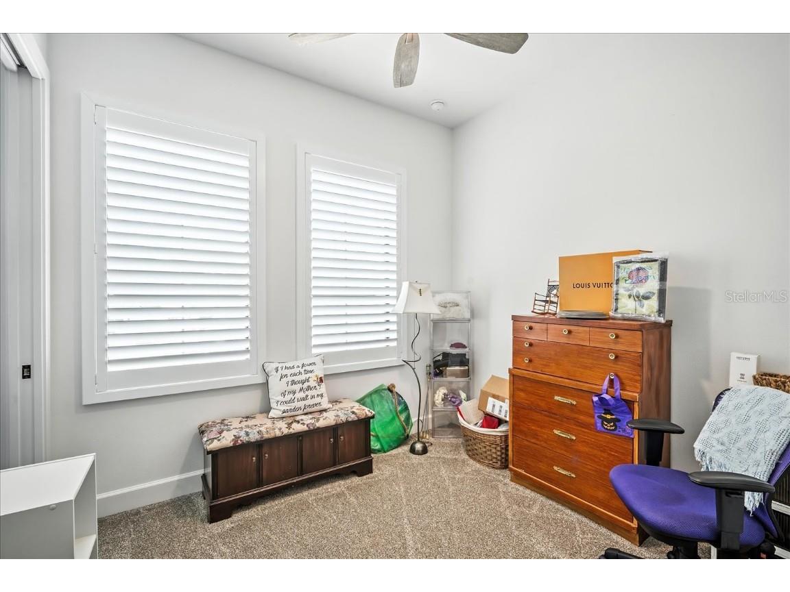 8317 Alafia Pointe Drive Riverview FL 33578 TB8425316 image32