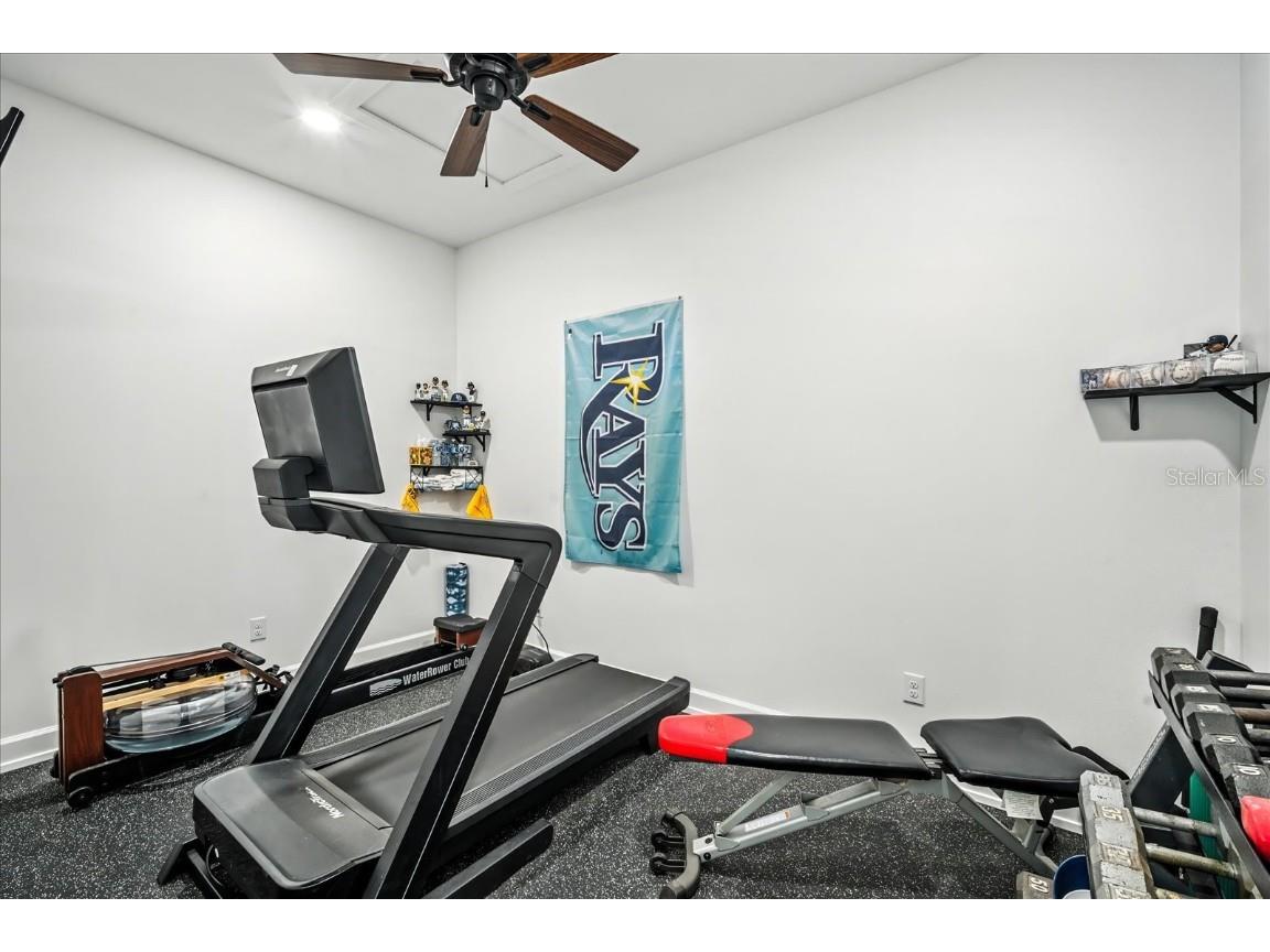 8317 Alafia Pointe Drive Riverview FL 33578 TB8425316 image33