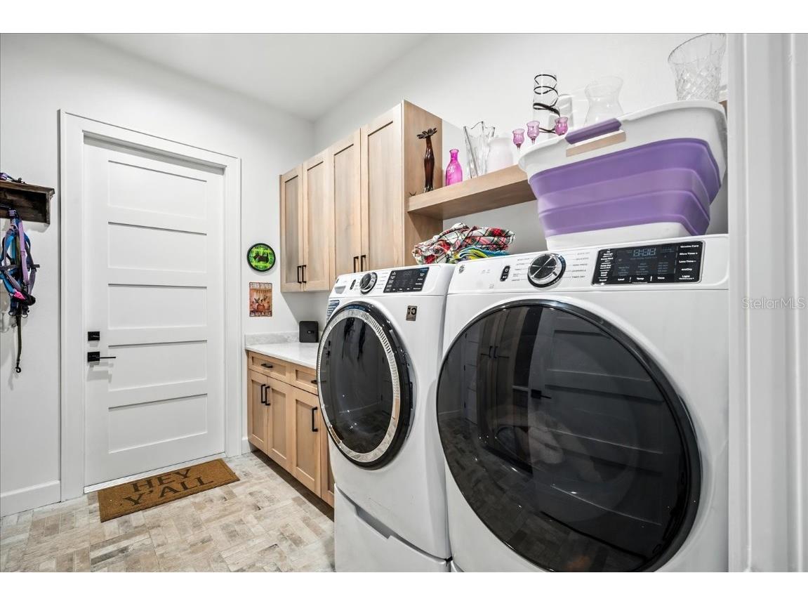 8317 Alafia Pointe Drive Riverview FL 33578 TB8425316 image35