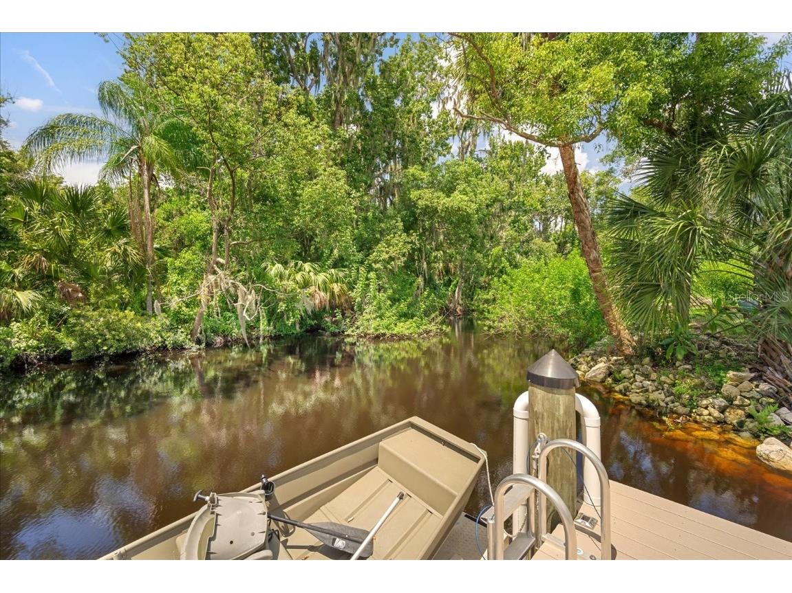 8317 Alafia Pointe Drive Riverview FL 33578 TB8425316 image45