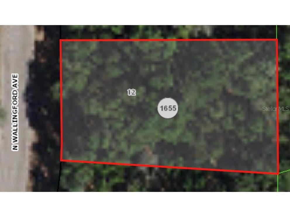 8317 N Wallingford Avenue Citrus Springs FL 34434 A4578246 image1