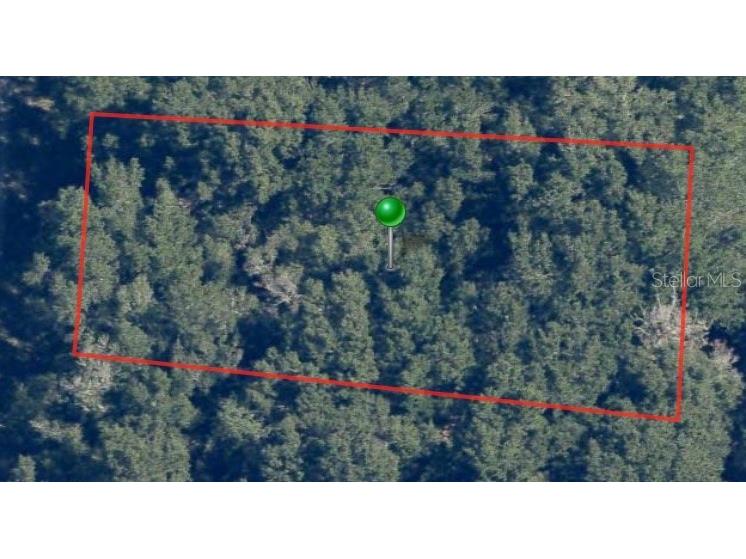 8317 N Wallingford Avenue Citrus Springs FL 34434 A4578246 image2