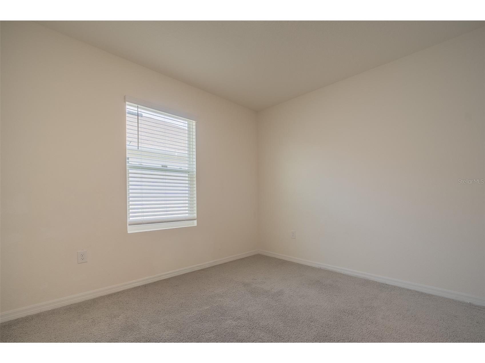 8318 Claw Glades Loop Wesley Chapel FL 33545 TB8504838 image12