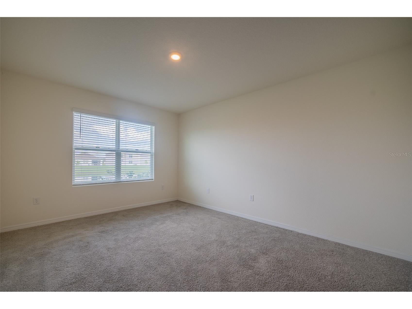 8318 Claw Glades Loop Wesley Chapel FL 33545 TB8504838 image22