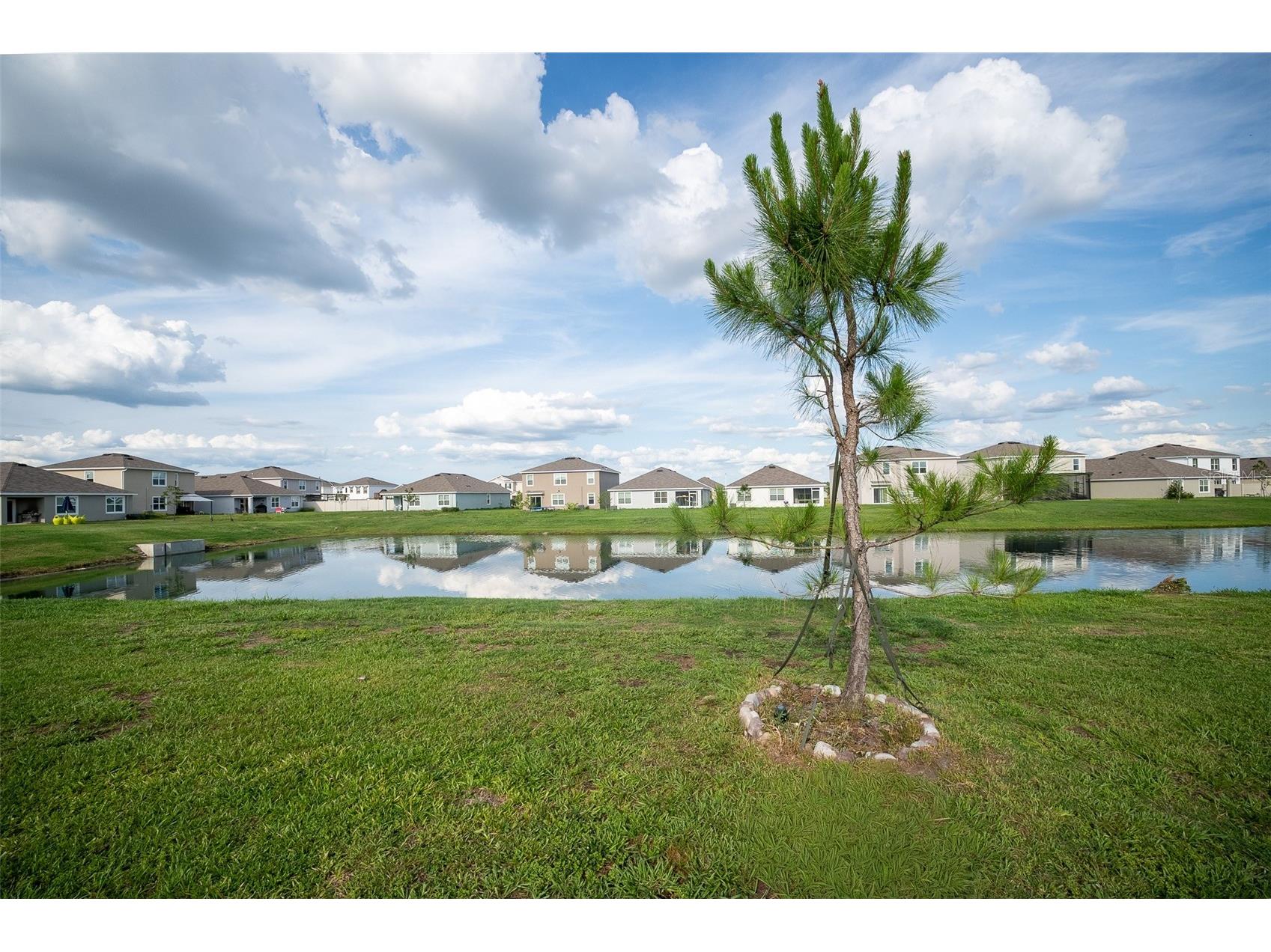 8318 Claw Glades Loop Wesley Chapel FL 33545 TB8504838 image32