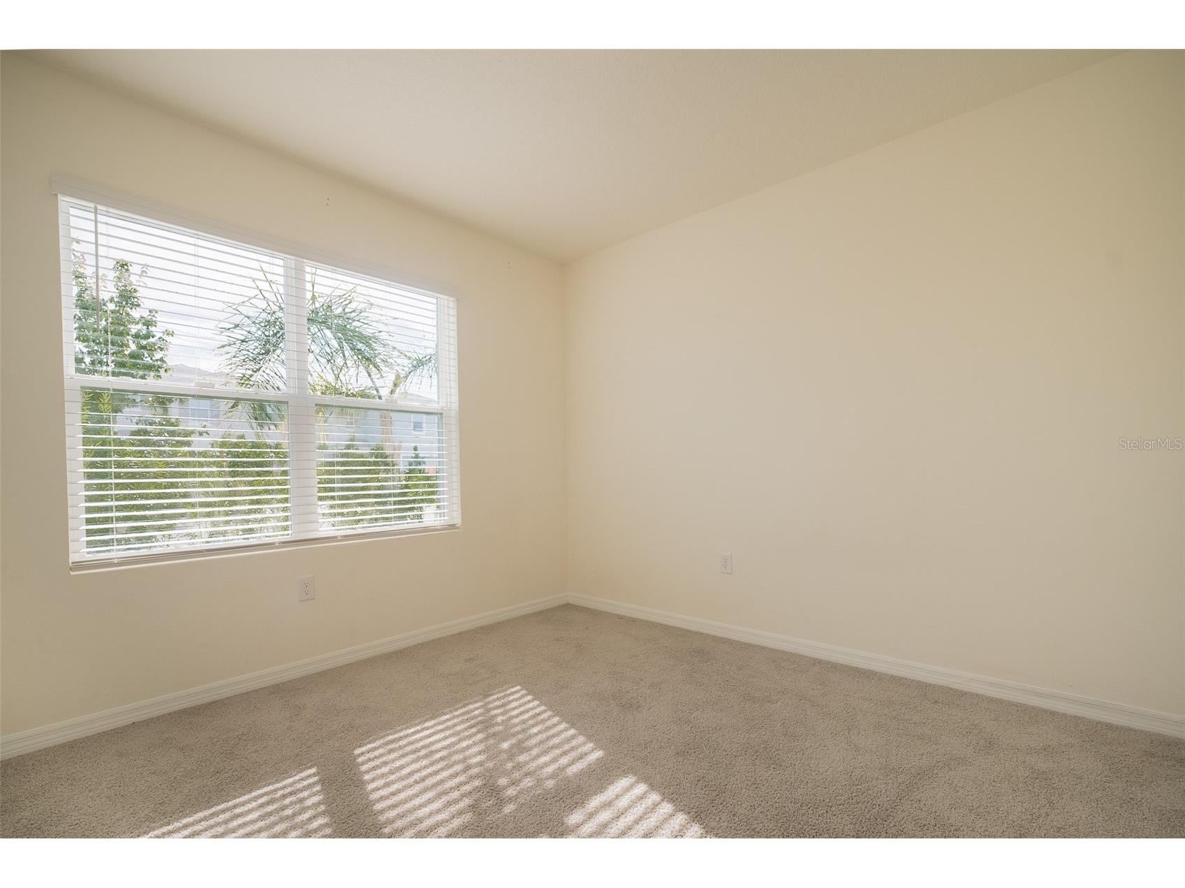 8318 Claw Glades Loop Wesley Chapel FL 33545 TB8504838 image7