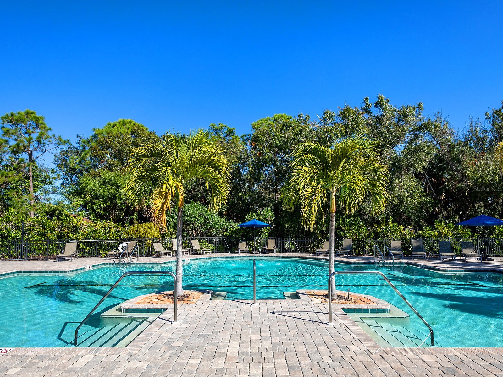 8318 Planters Knoll Terrace Bradenton FL 34201 A4678491 image36