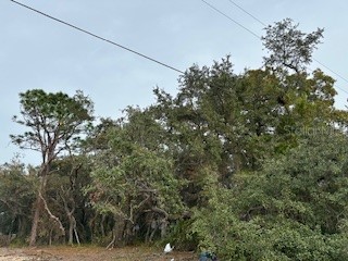 8319 Begonia Street Spring Hill FL 34608 W7860420 image1