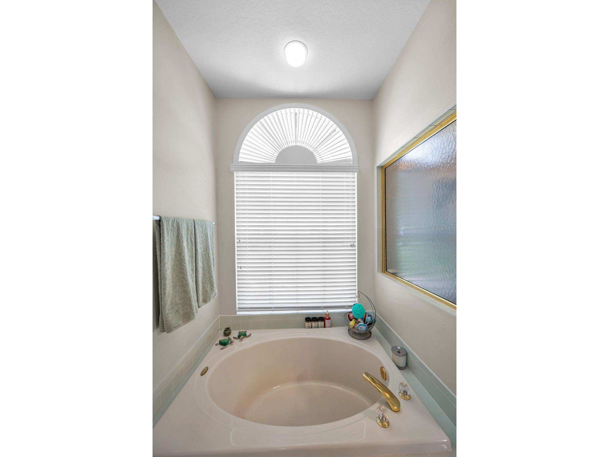 8319 Coral Creek Loop Hudson FL 34667 TB8444069 image23