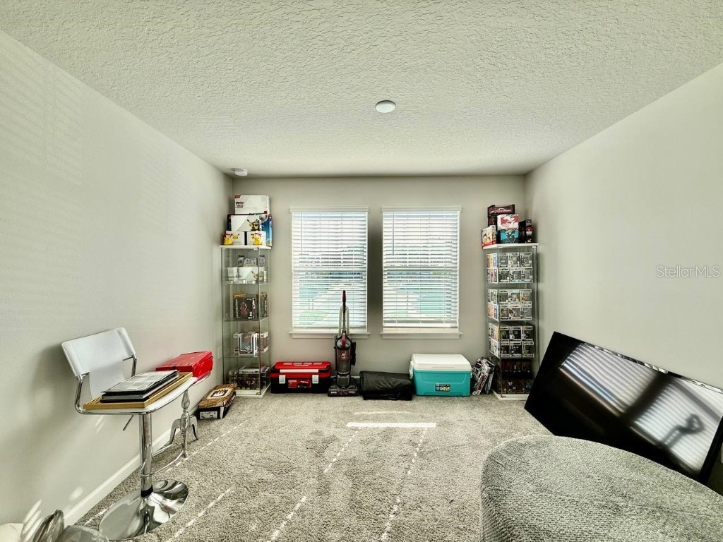 8319 Wildflower Glen Avenue Odessa FL 33556 TB8454612 image16