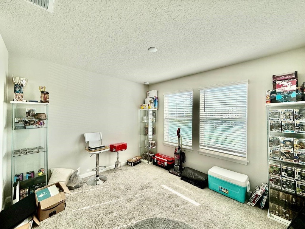 8319 Wildflower Glen Avenue Odessa FL 33556 TB8454612 image17