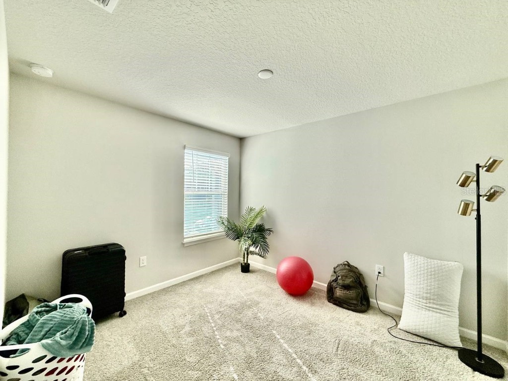 8319 Wildflower Glen Avenue Odessa FL 33556 TB8454612 image18