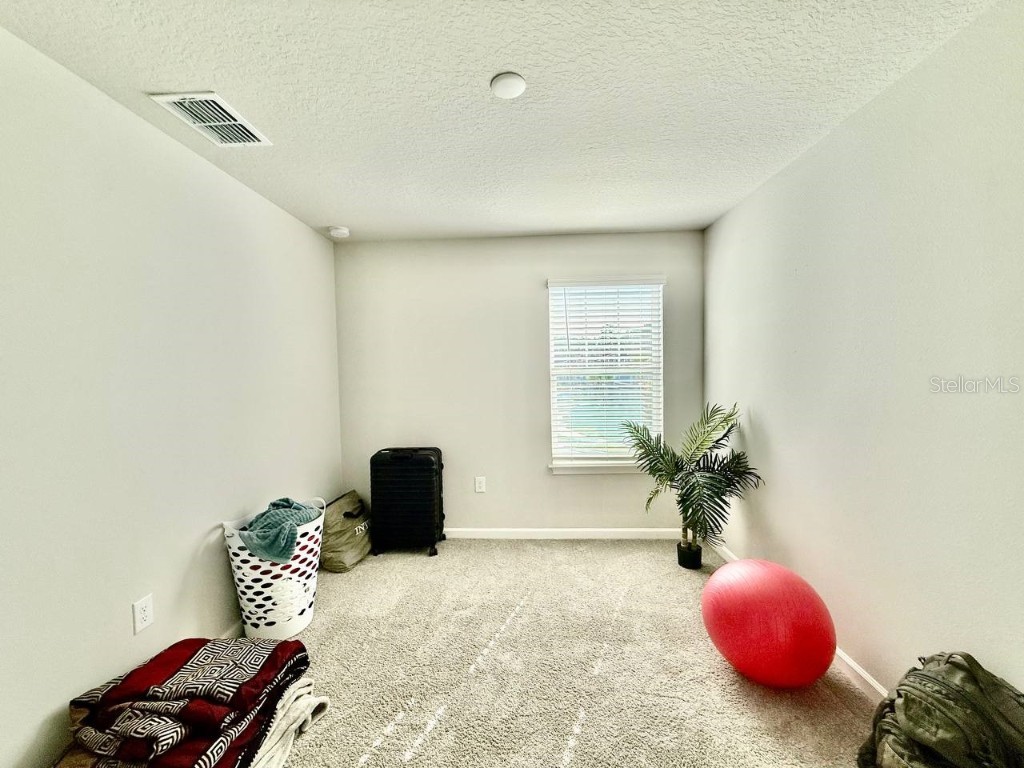 8319 Wildflower Glen Avenue Odessa FL 33556 TB8454612 image19