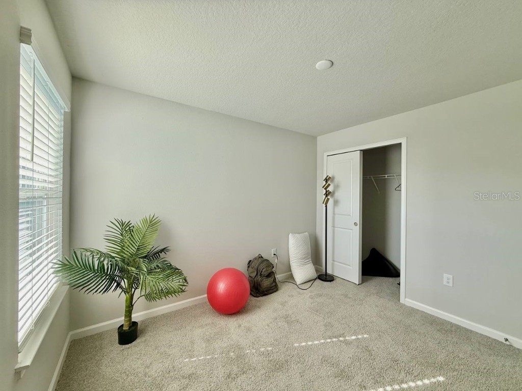 8319 Wildflower Glen Avenue Odessa FL 33556 TB8454612 image20