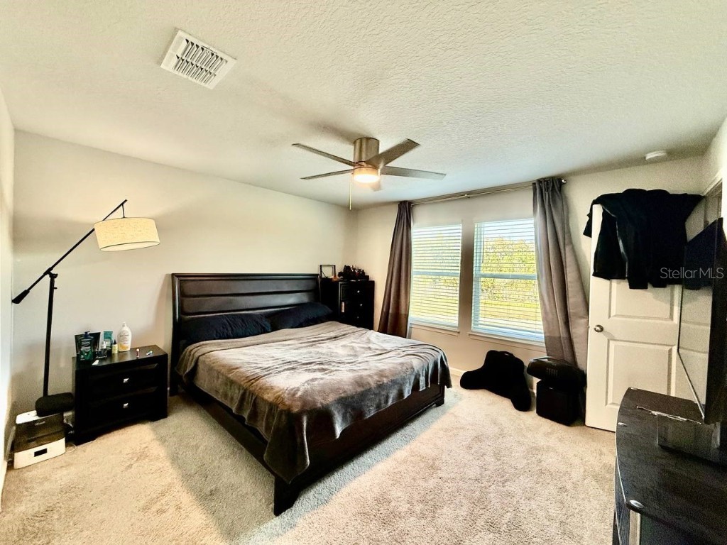 8319 Wildflower Glen Avenue Odessa FL 33556 TB8454612 image22