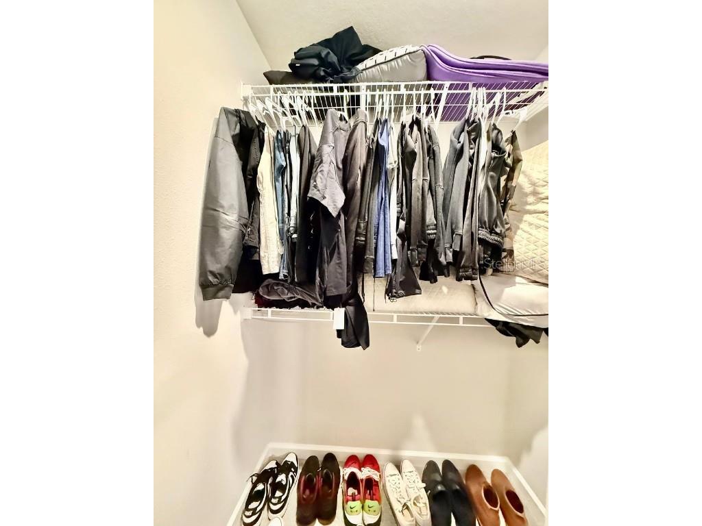 8319 Wildflower Glen Avenue Odessa FL 33556 TB8454612 image29