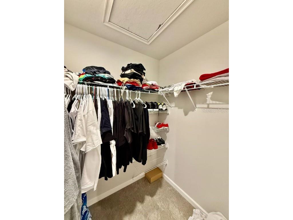 8319 Wildflower Glen Avenue Odessa FL 33556 TB8454612 image30