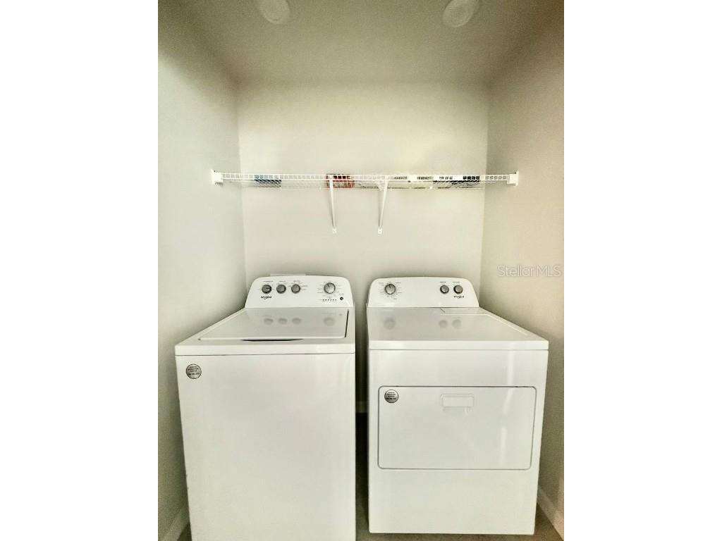 8319 Wildflower Glen Avenue Odessa FL 33556 TB8454612 image31