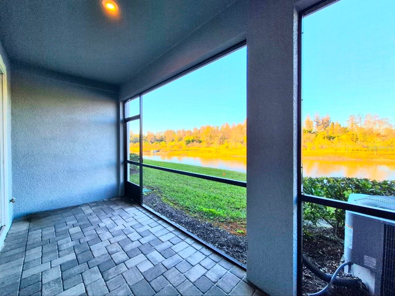 8319 Wildflower Glen Avenue Odessa FL 33556 TB8454612 image38