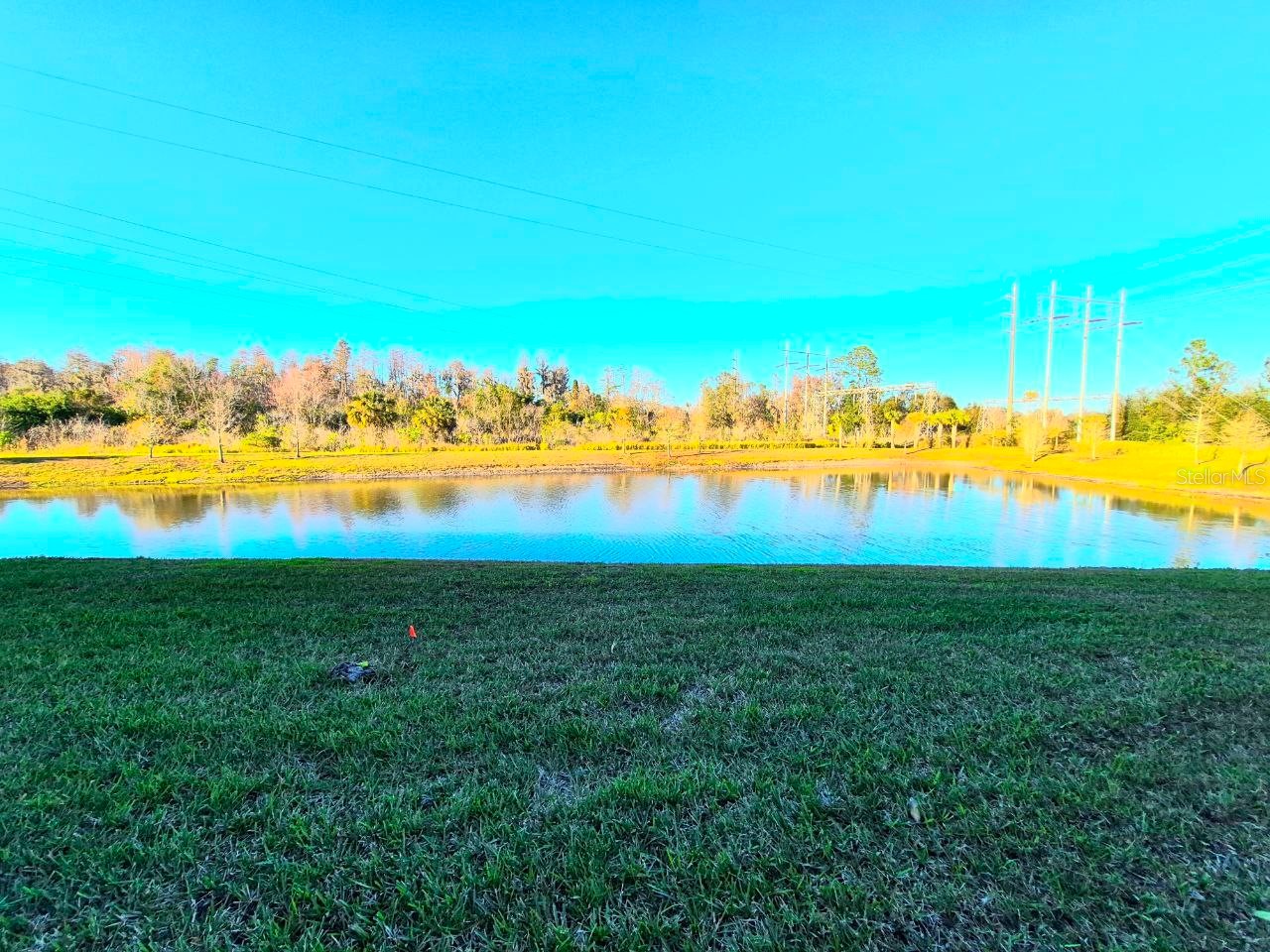 8319 Wildflower Glen Avenue Odessa FL 33556 TB8454612 image40