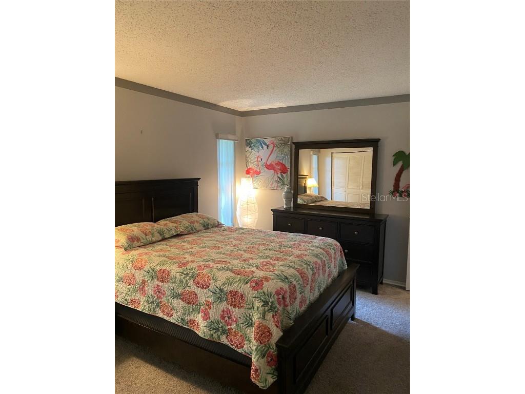 832 Cambridge Court Dunedin FL 34698 TB8397248 image18