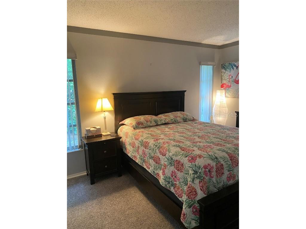 832 Cambridge Court Dunedin FL 34698 TB8397248 image19