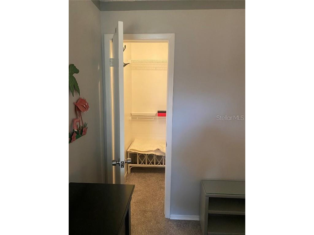 832 Cambridge Court Dunedin FL 34698 TB8397248 image20