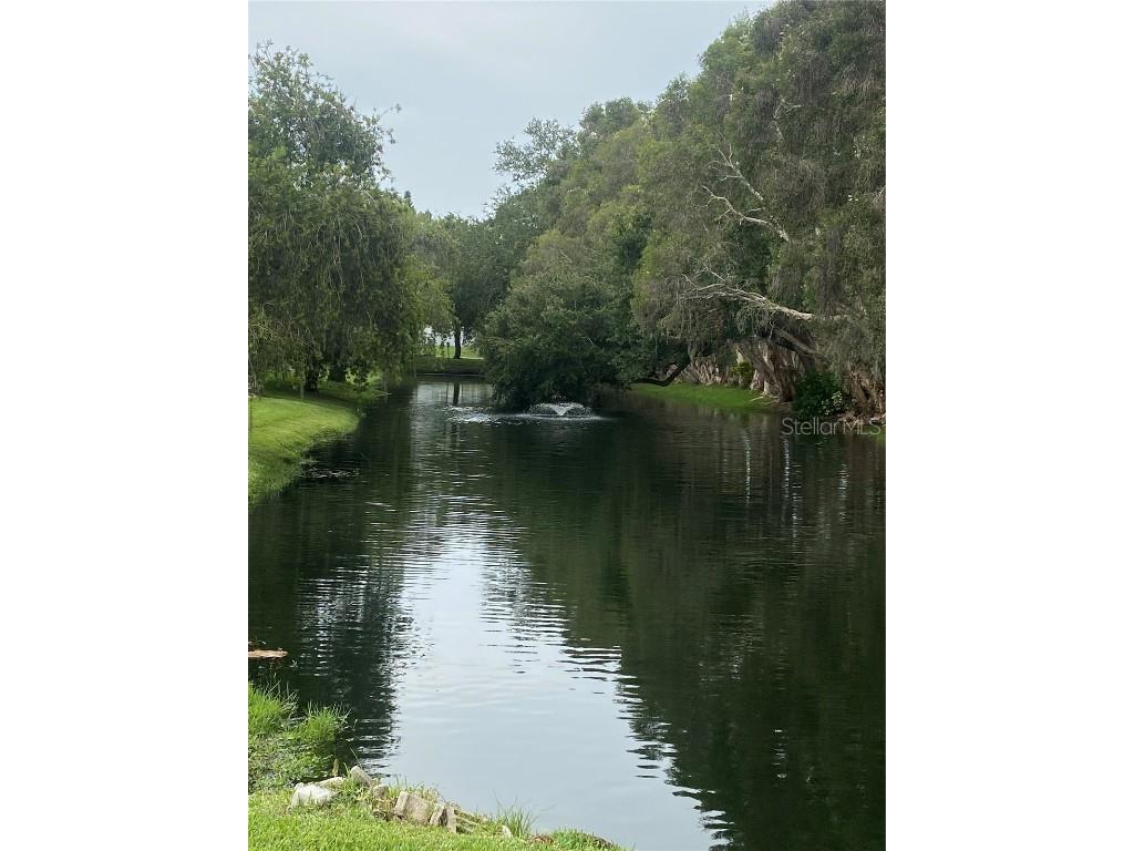 832 Cambridge Court Dunedin FL 34698 TB8397248 image38