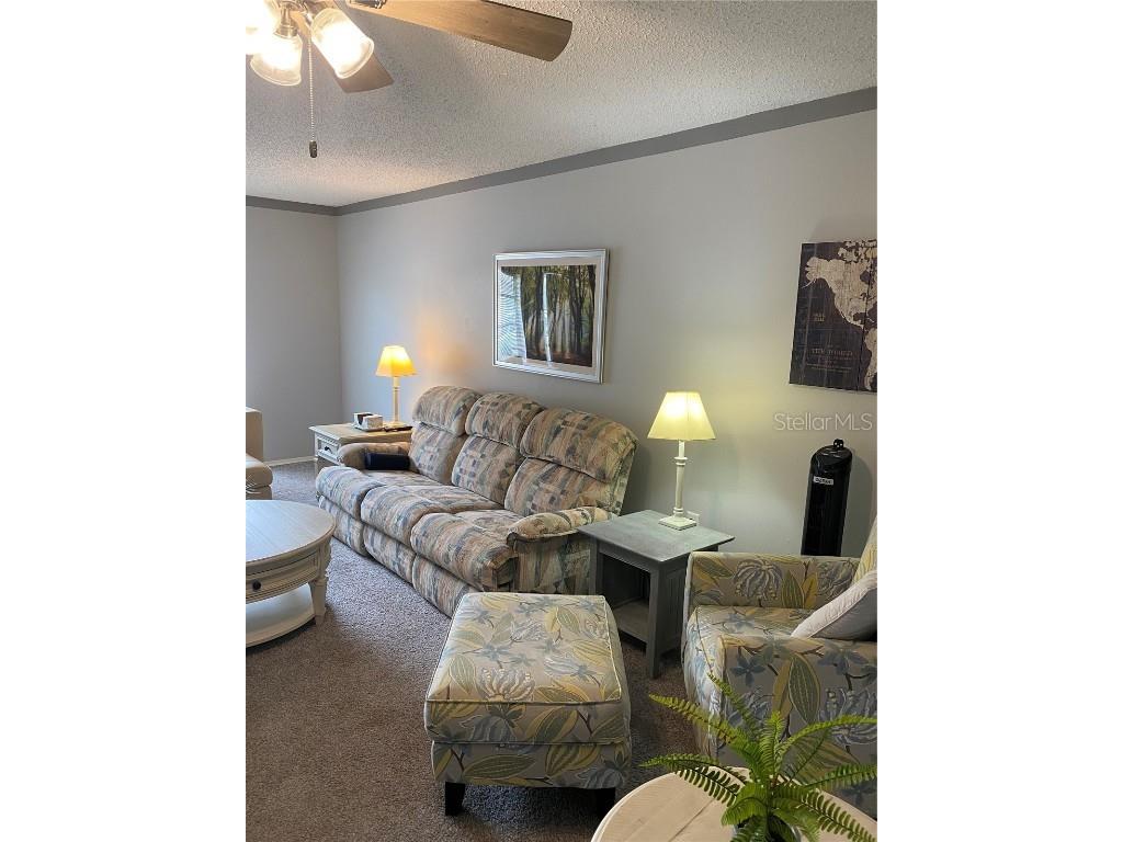 832 Cambridge Court Dunedin FL 34698 TB8397248 image8