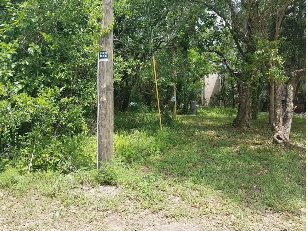 832 E 145th Avenue Tampa FL 33613 TB8457500 image2